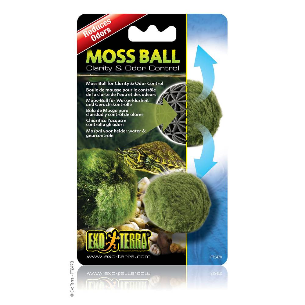 Exo Terra Reptile Moss Ball