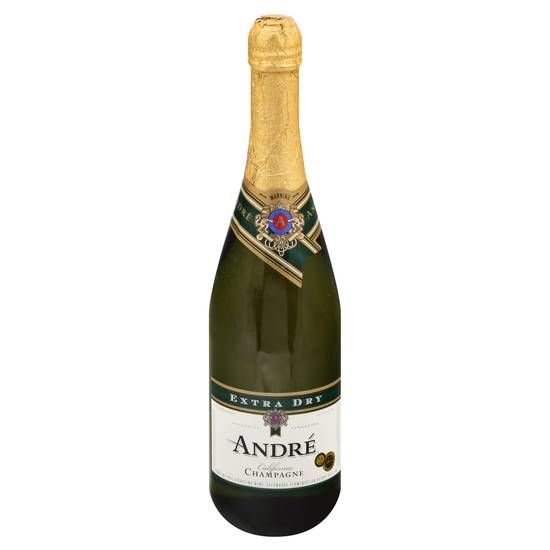 Andre Extra Dry Champagne Wine (750 ml)
