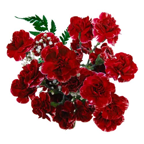 Mini Carnation Bouquet Red Flowers
