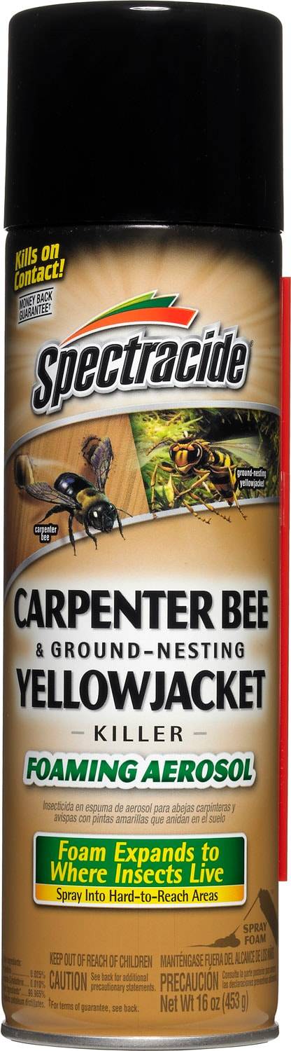 Spectracide Carpenter Bee & Ground-Nesting Yellow Jacket Killer Foaming Aerosol (1 lbs)