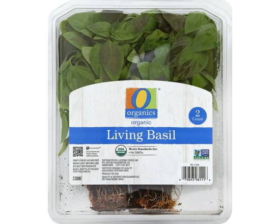 Order O Organics · Living Basil (2 ct) food online from Safeway store, Butte on bringmethat.com