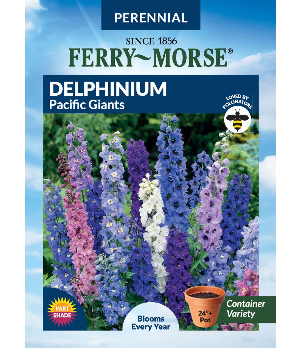 Ferry-Morse Delphinium Seeds 125 Milligram(s)