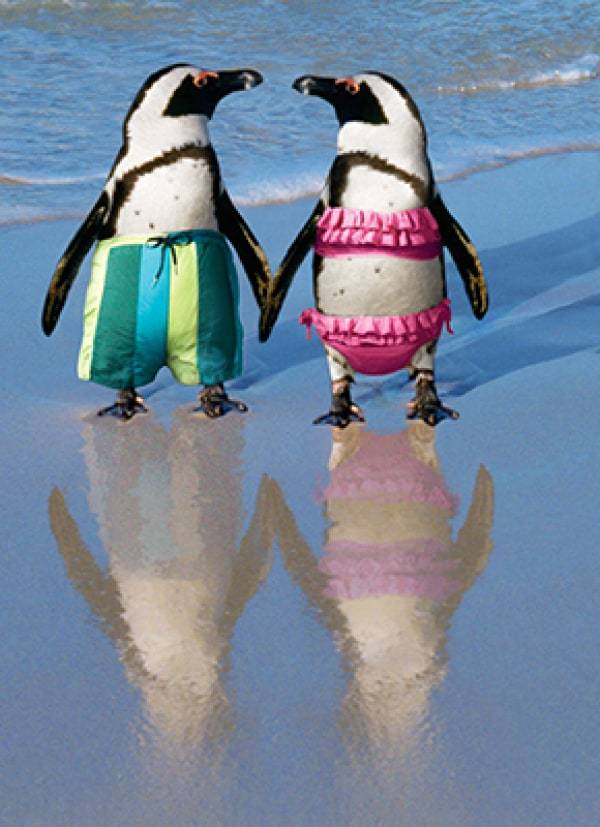 Avanti Card Anniver Penguins Holding Han
