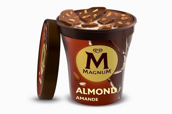 Magnum Amande 440ml (nouveau)