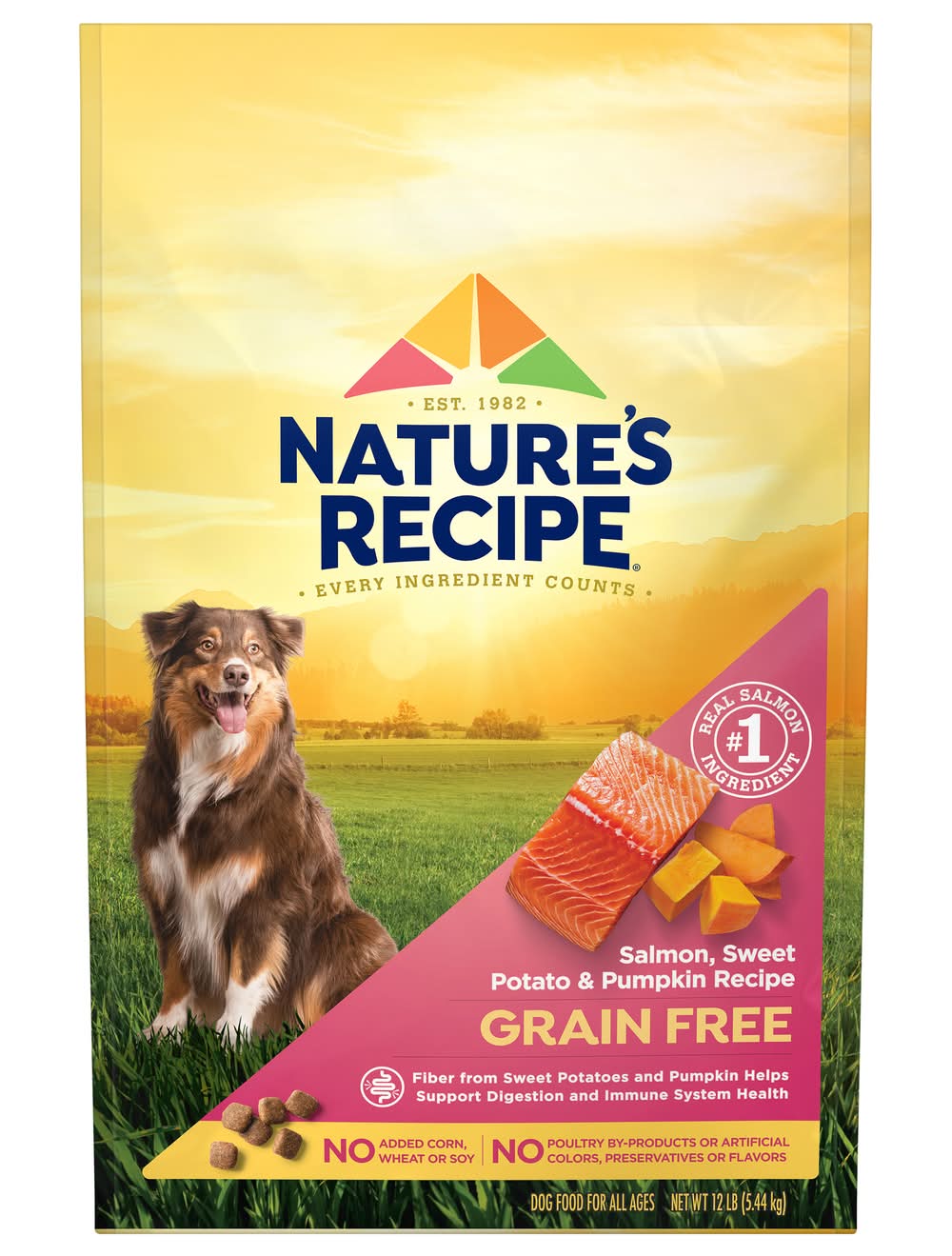Nature's Recipe Salmon Sweet Potato & Pumpkin Recipe Dry Dog Food (12 lbs)