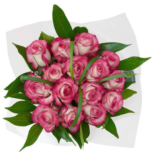 Debi Lilly Rose Chic Bouquet (1 bouquet)