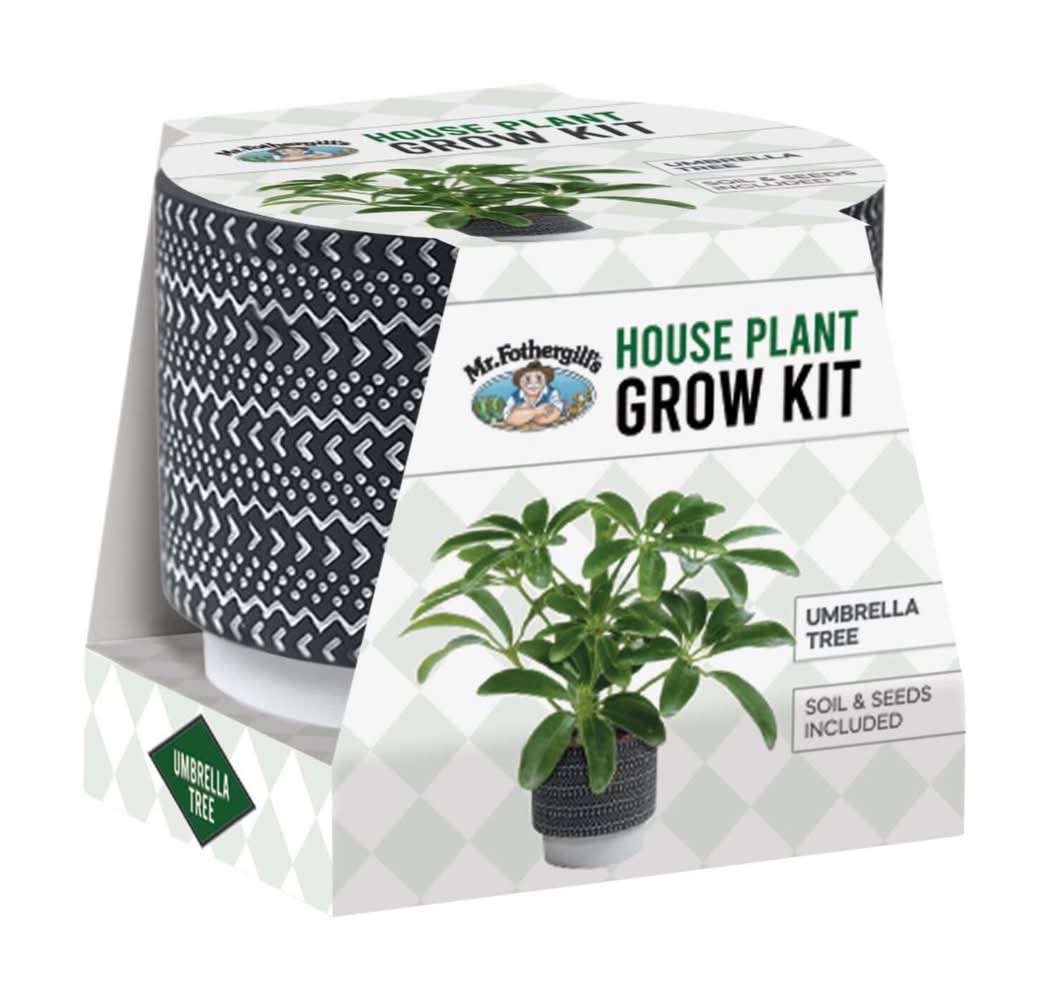Mr Fothergill's House Plant Grow Kit - Umbrella Tree Delivery Near Me |  Order Online | Uber Eats