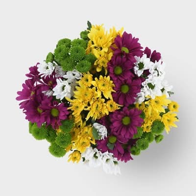 Good Little Garden Fresh Cut Rainbow Citrus Pomps Flower Bouquet