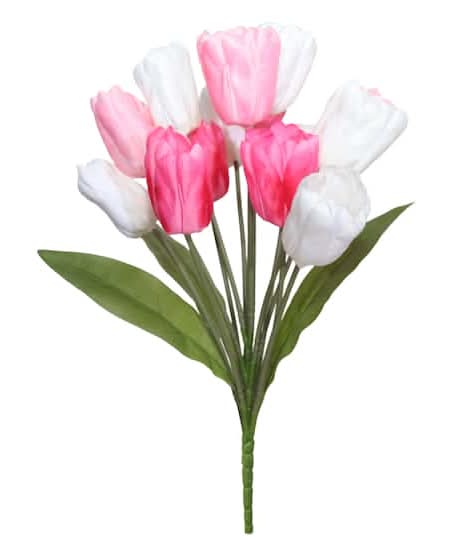 Ashland Tulip Bush, 19 in, Pink-White