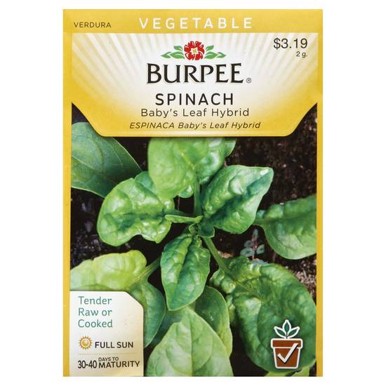 Burpee Baby's Leaf Hybrid Spinach (2 g)