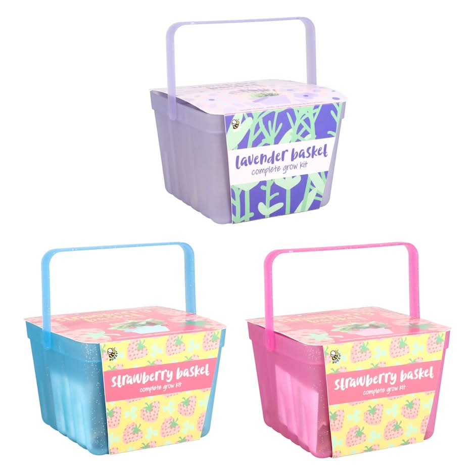 Plastic Basket Grow Kit, 1-ct.