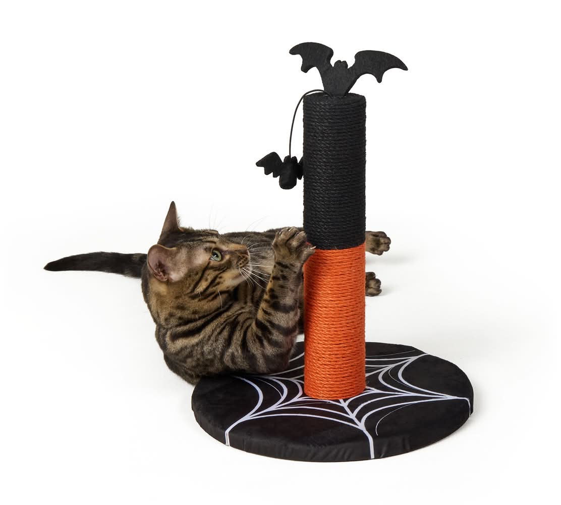 Thrills & Chills® Bat Cat Scratching Post, Dangling Toy Included, 13.3 IN L X 13.3 IN W X 17.7 IN H (Color: Multi Color)