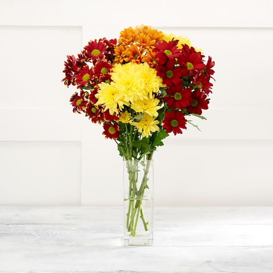 Yellow Chrysanthemums
