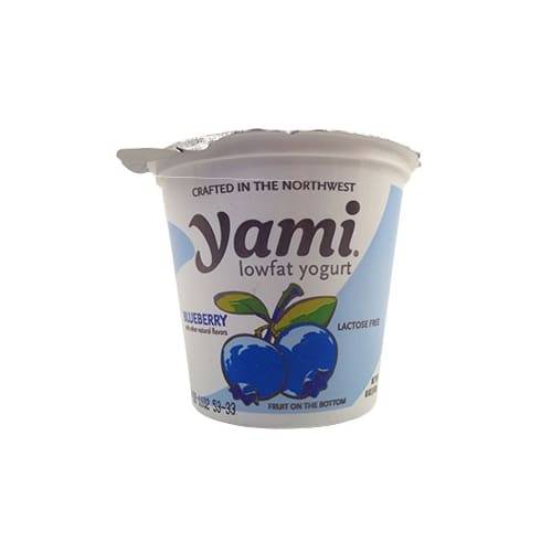 Yami Lactose Free Blueberry Lowfat Yogurt (6 oz)