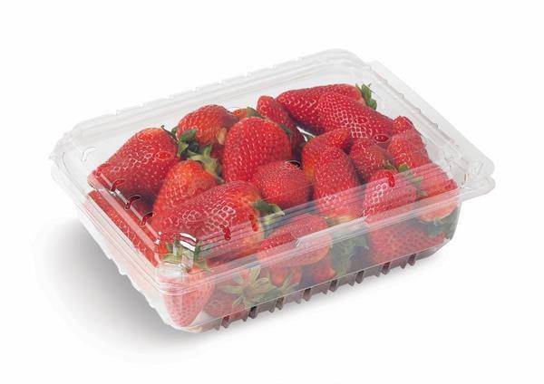 Driscoll's Giant Strawberries (32 oz)