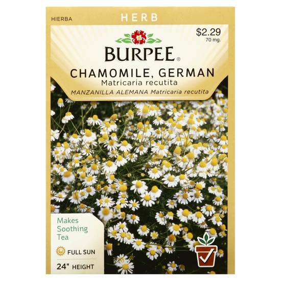 Burpee German Chamomile (1 ct)