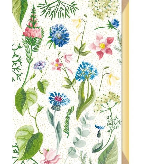 Postal - Flores Shiny