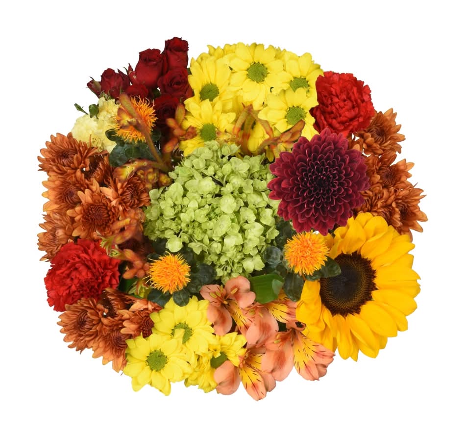 Bloom Haus Sweet Fresh Flower Bouquet (16 ct)