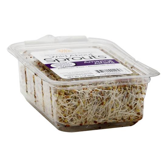 Order Wild About Sprouts · Amazing Alfalfa (3 oz) food online from Safeway store, Eureka on bringmethat.com