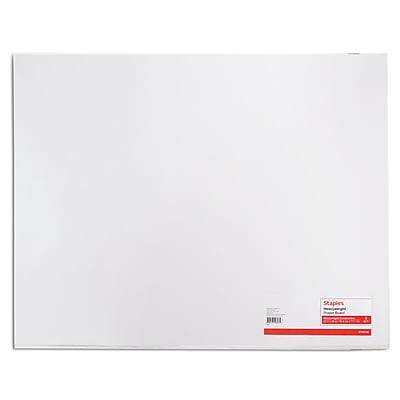 Staples Poster Board (22 in x 28 in)