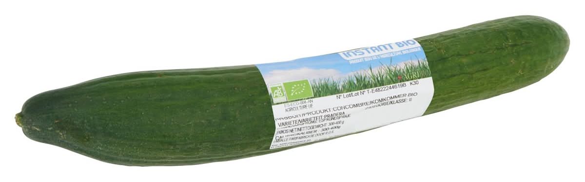 Bio Concombre