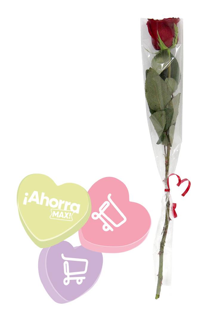 Rosa  Natural  S/m  1.0 - Pza