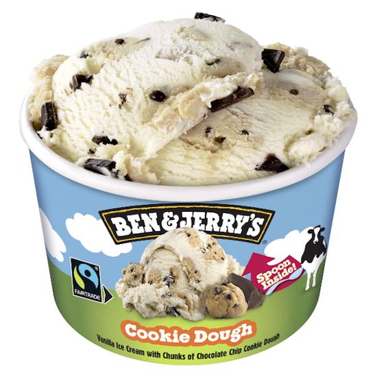 Ben & Jerrys Cookie Dough Ice Cream 100ml