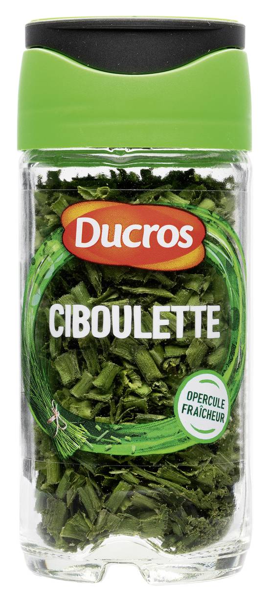 Ducros - Ciboulette