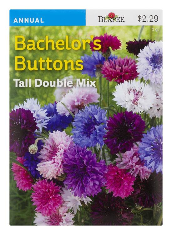 Burpee Bachelor's Buttons Tall Double Mix Seeds