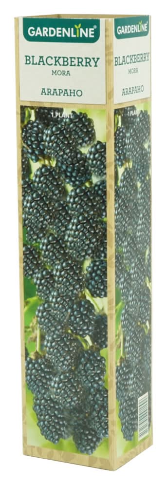 Gardenline Berry Bush Assort