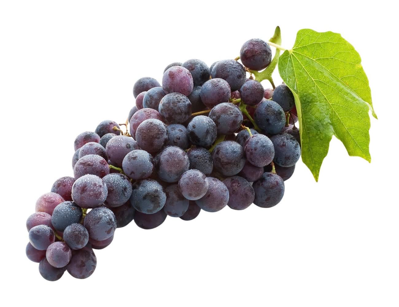 Raisin Noir Sans Pépin CARREFOUR LE MARCHE - la barquette de 500g