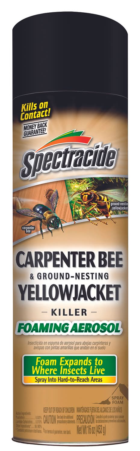 Spectracide Insect Killer Foam 16 Oz