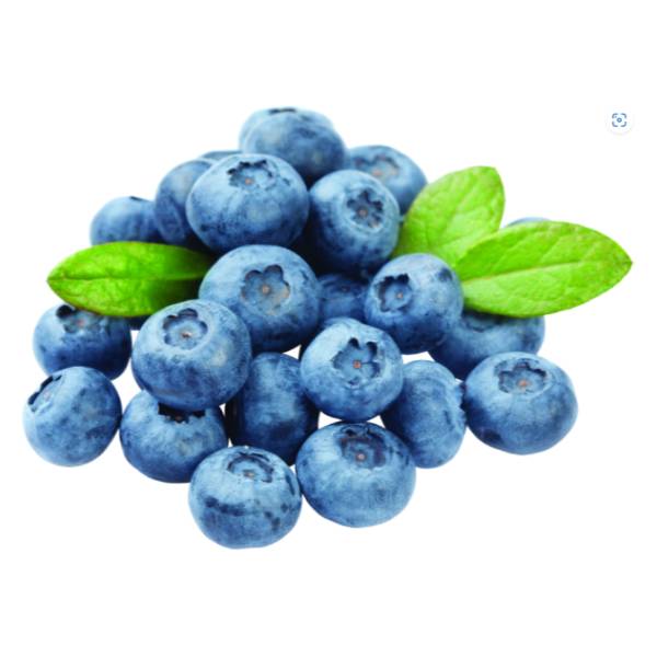 Mighty Jumbo Blueberries