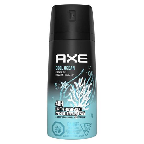 Axe Cool Ocean Deodorant Body Spray (113 g)