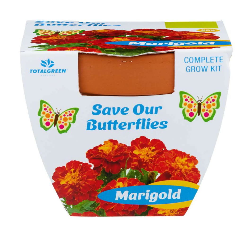TotalGreen Holland Strawberry Complete Grow Kit