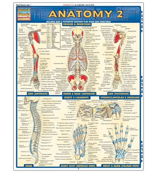 QuickStudy Guide, Anatomy 2