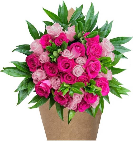 Bloom Haus™ 30 Plus Rose Bouquet - Pink