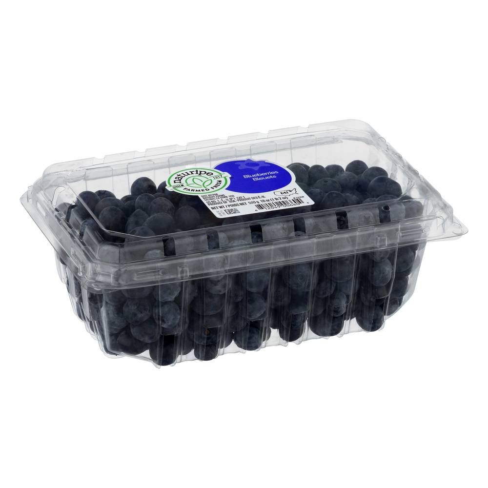 Naturipe Farmed Fresh Blueberries