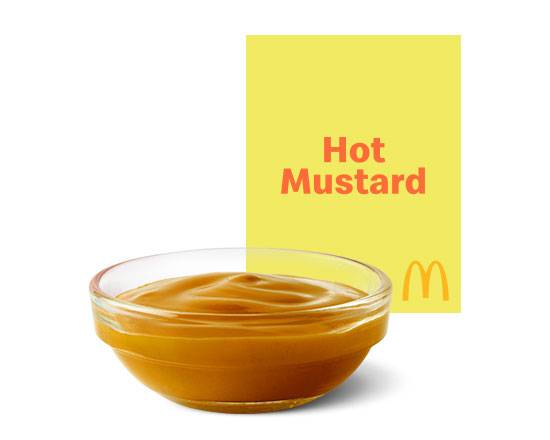 Hot Mustard Dipping Sauce