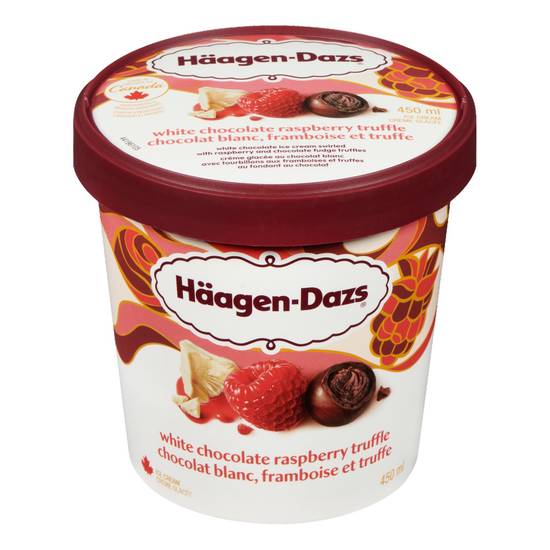 Haagen Dazs · Chocolat framboise - Raspberry chocolate ice cream (450 mL)