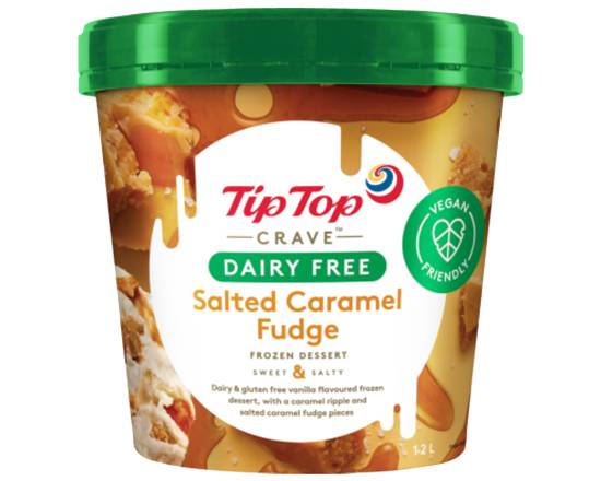 Tip Top Crave Dairy Free Salted Caramel Fudge 1.2L