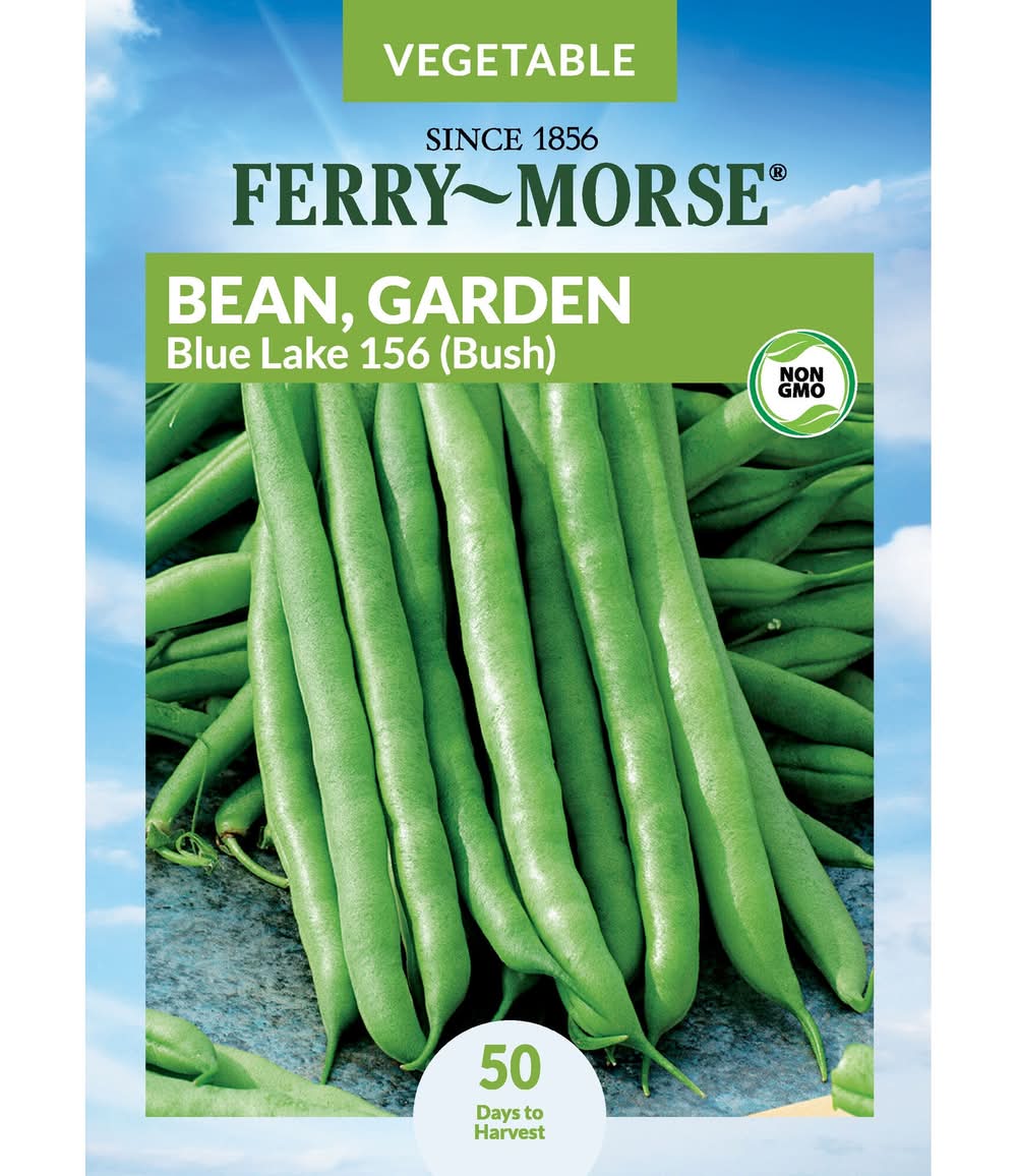 Ferry-Morse Bean Seeds 11 Gram(s)