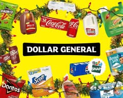 Dollar General (9047 E State Route 350)