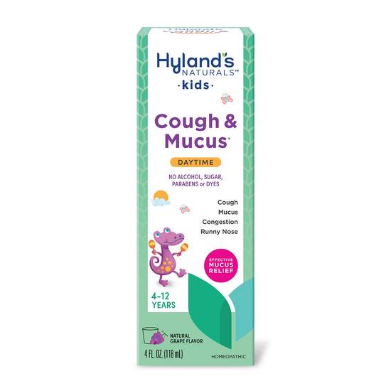 Hyland's Naturals Kids Cough & Mucus Daytime Relief Liquid, Grape, 4 OZ