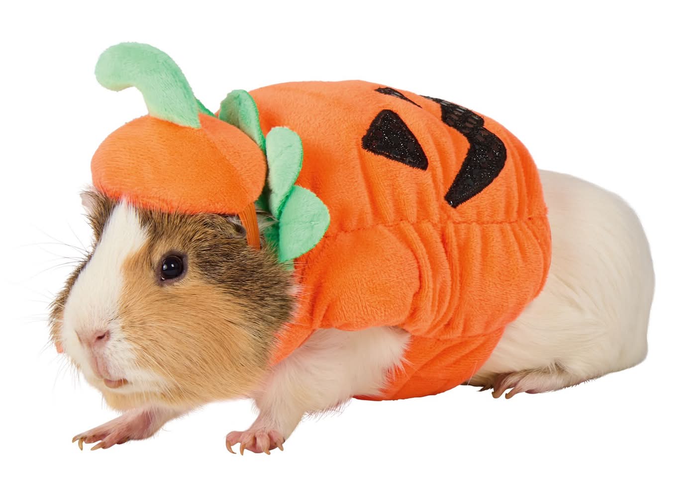 Thrills & Chills® Small Pet Pumpkin Costume (Color: Orange)