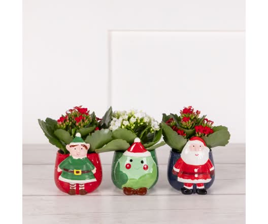 Sainsbury's Christmas Fun Ceramic Pots