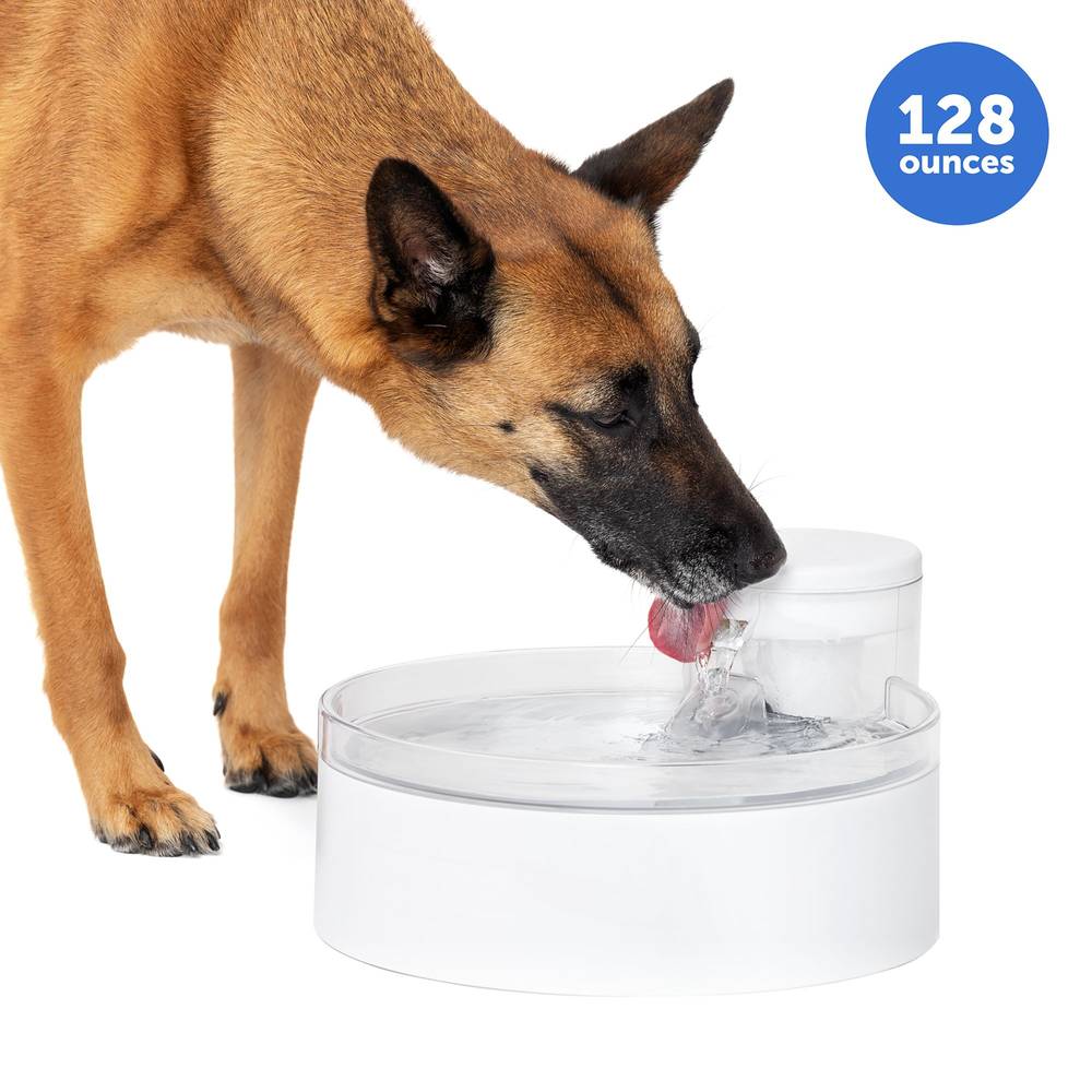 PetSafe Outlast Pumpless Water Fountain Bowl For Dogs 128 oz, White