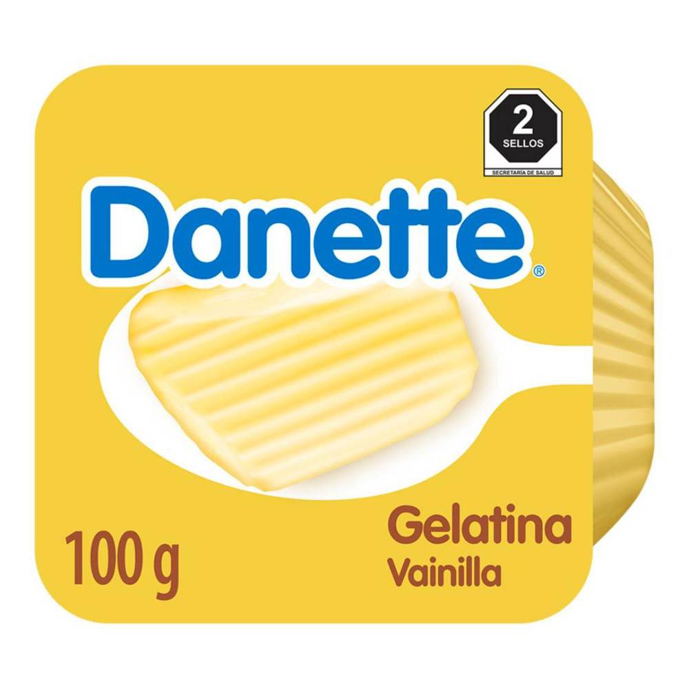 Danette · Gelatina de leche sabor vainilla (100 g)