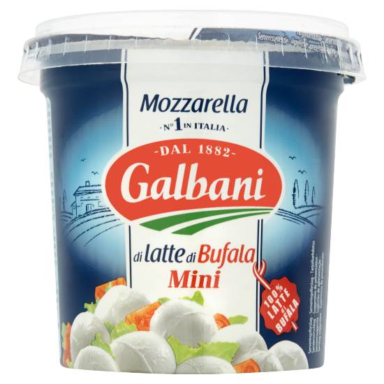 Galbani Mozzarella Di Latte Di Bufala Mini Cheese