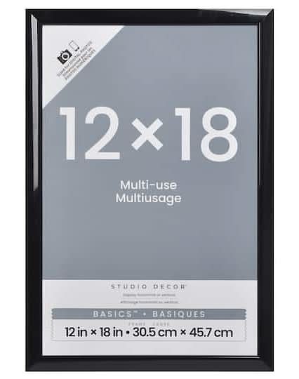 Studio Décor Multi-Use Frame, 12x18 in, Black